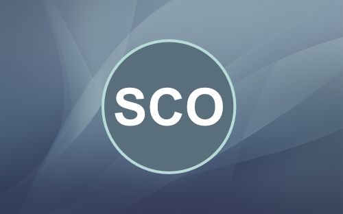 SCO Report